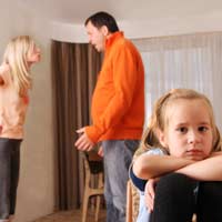 Arguments Child Ex Mediation Ex-partner