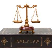 Family Court Lawyer Hearing Case Person
